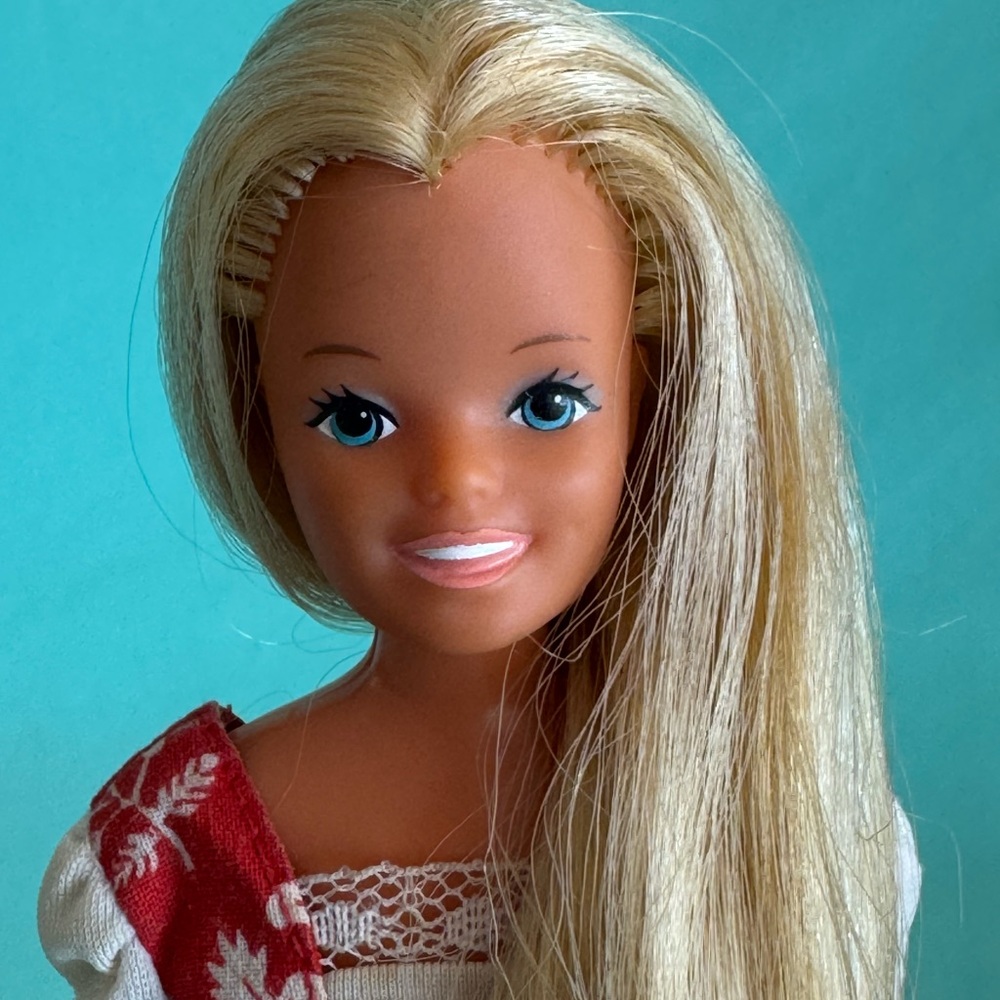 Long hair skipper